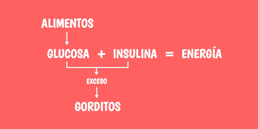 Exceso de insulina produce gorditos